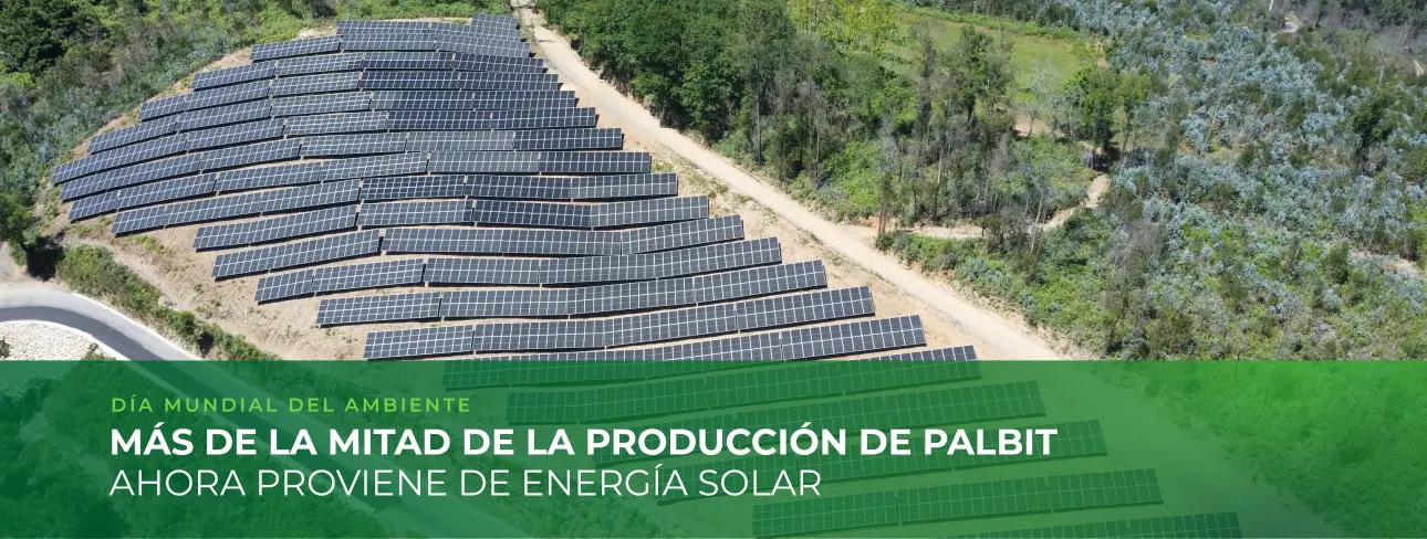 Más de la mitad de la producción de Palbit procede ahora de la energía solar