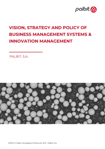Vision, Strategy and Policy