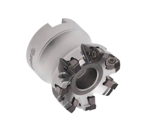 Edge of 2024, Shaping 2025 | Palbit