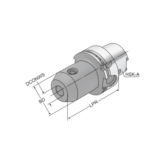 WELDON CHUCK HSKA100-HB14-080 - DRW