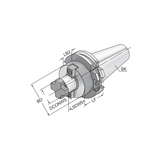 COLLET CHUCK SK50-AB40-050-B - DRW