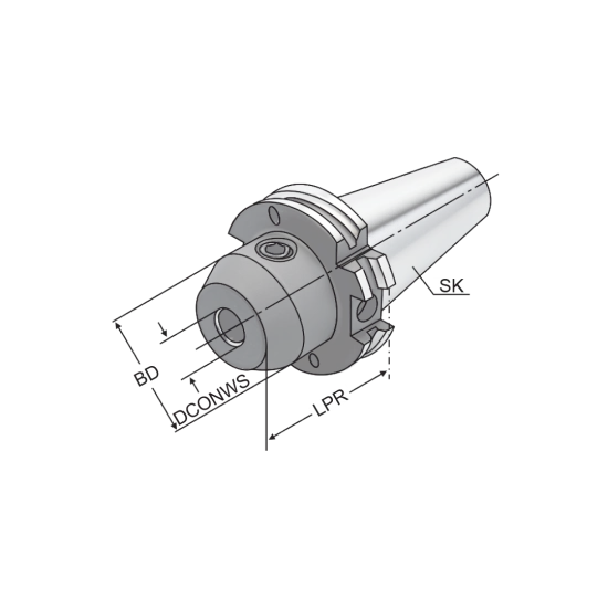 WELDON CHUCK SK50-HB32-100-B - DRW