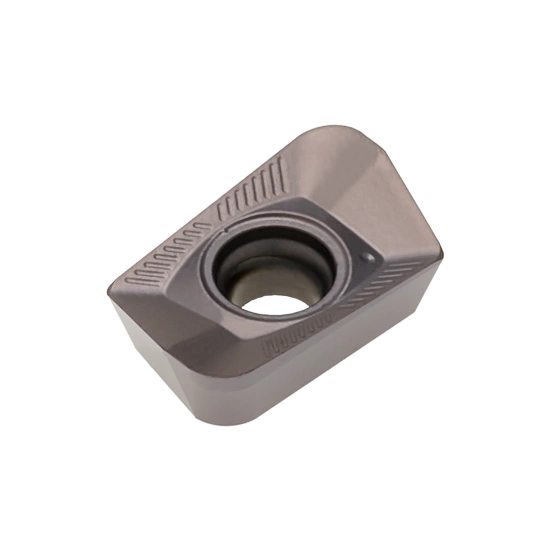 INSERT XPET 100308 PDER-LP PHP930