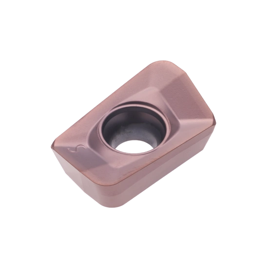 INSERT XPET 170612 PDER-LS PHH930