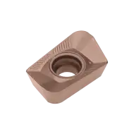 INSERT XPET 100308 PDER-LP PHH740