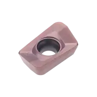 INSERT XPET 170612 PDER-LS PHH930