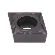 INSERT CCMT 060204-FP PH7920