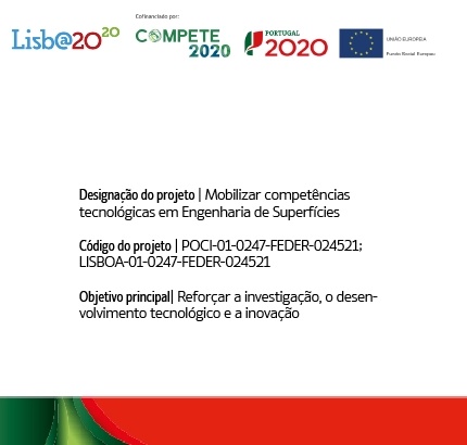 Project - Mobilizing technological skills in Surface Engineering