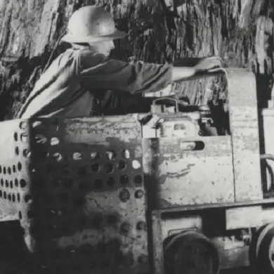 Palbit's involvement in sulfide mining exploitation. 